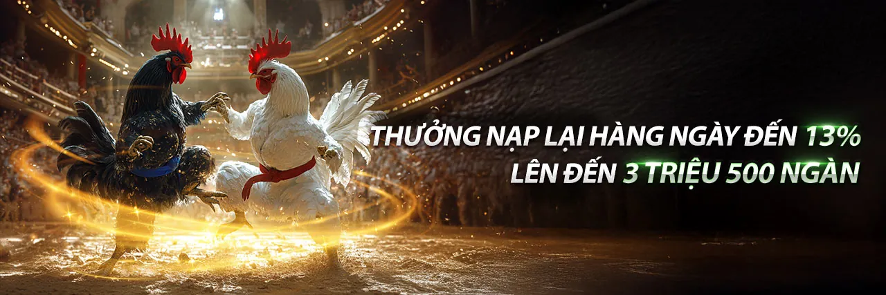 Đá gà trực tuyến L33 đăng nhập